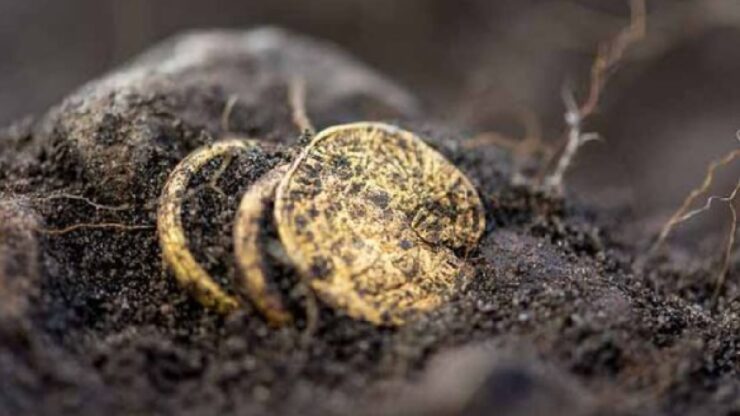 il tesoro di monete d'oro