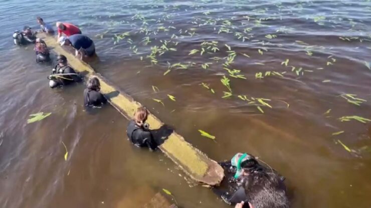 scoperta canoa nativi americani