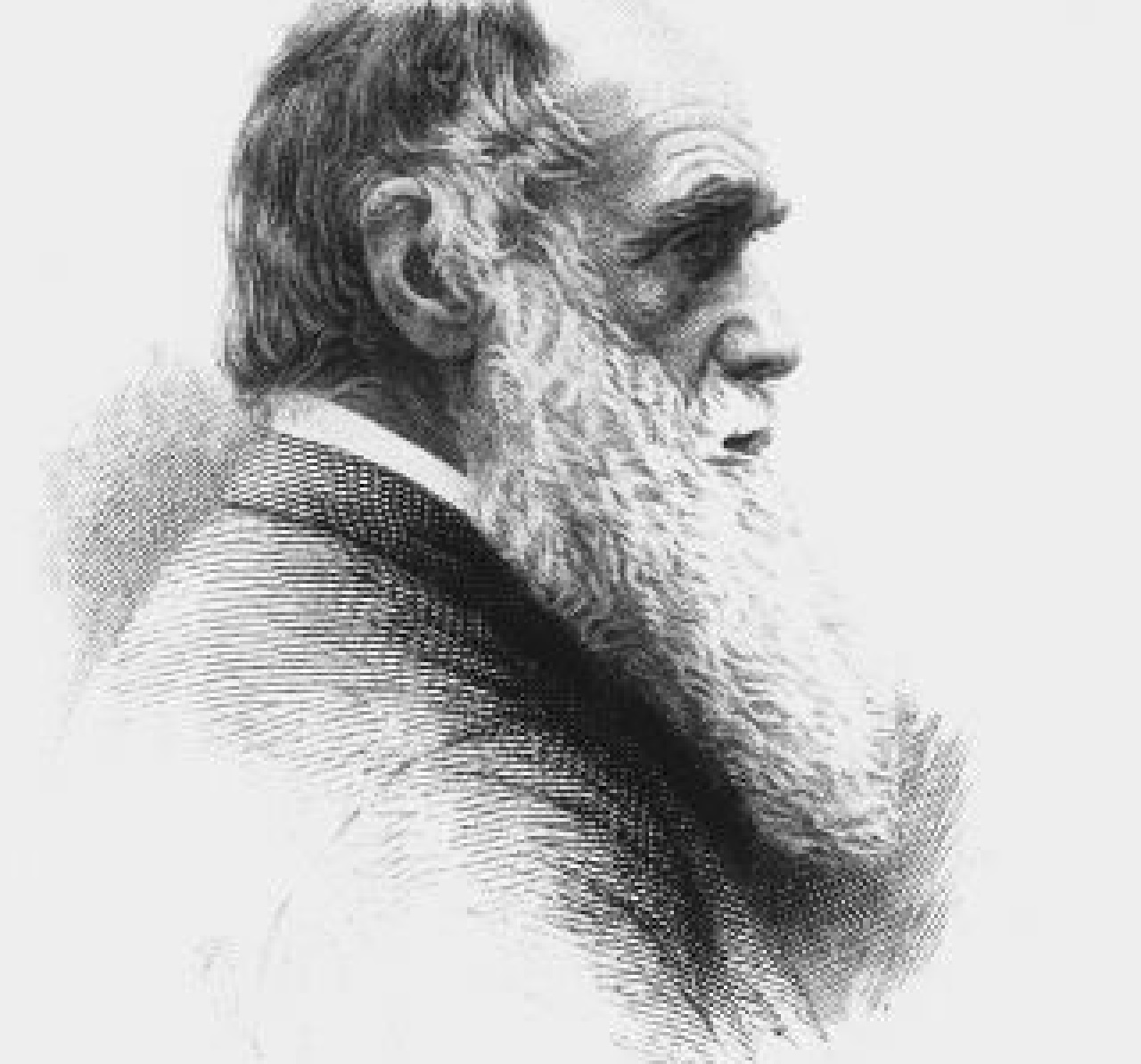 Darwin immagine volto