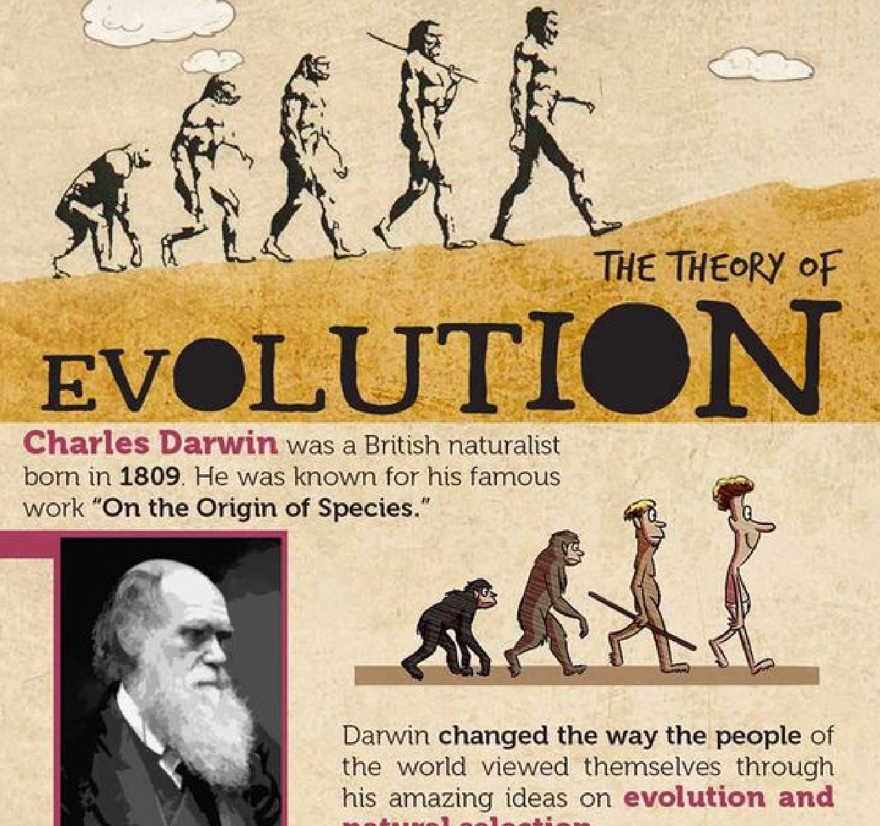 Darwin evoluzione libro