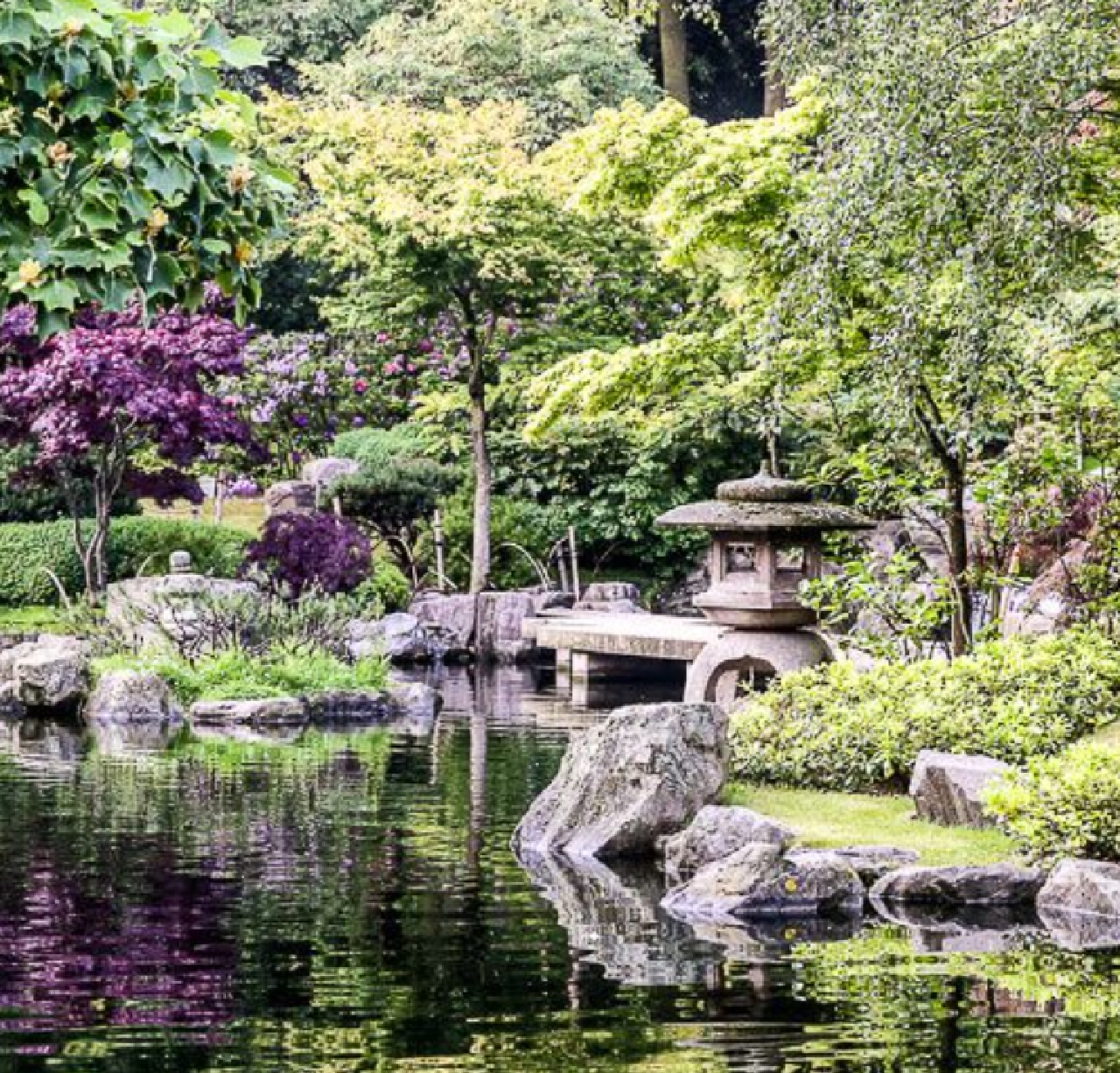 giardino foto lago