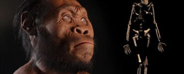 Homo Naledi