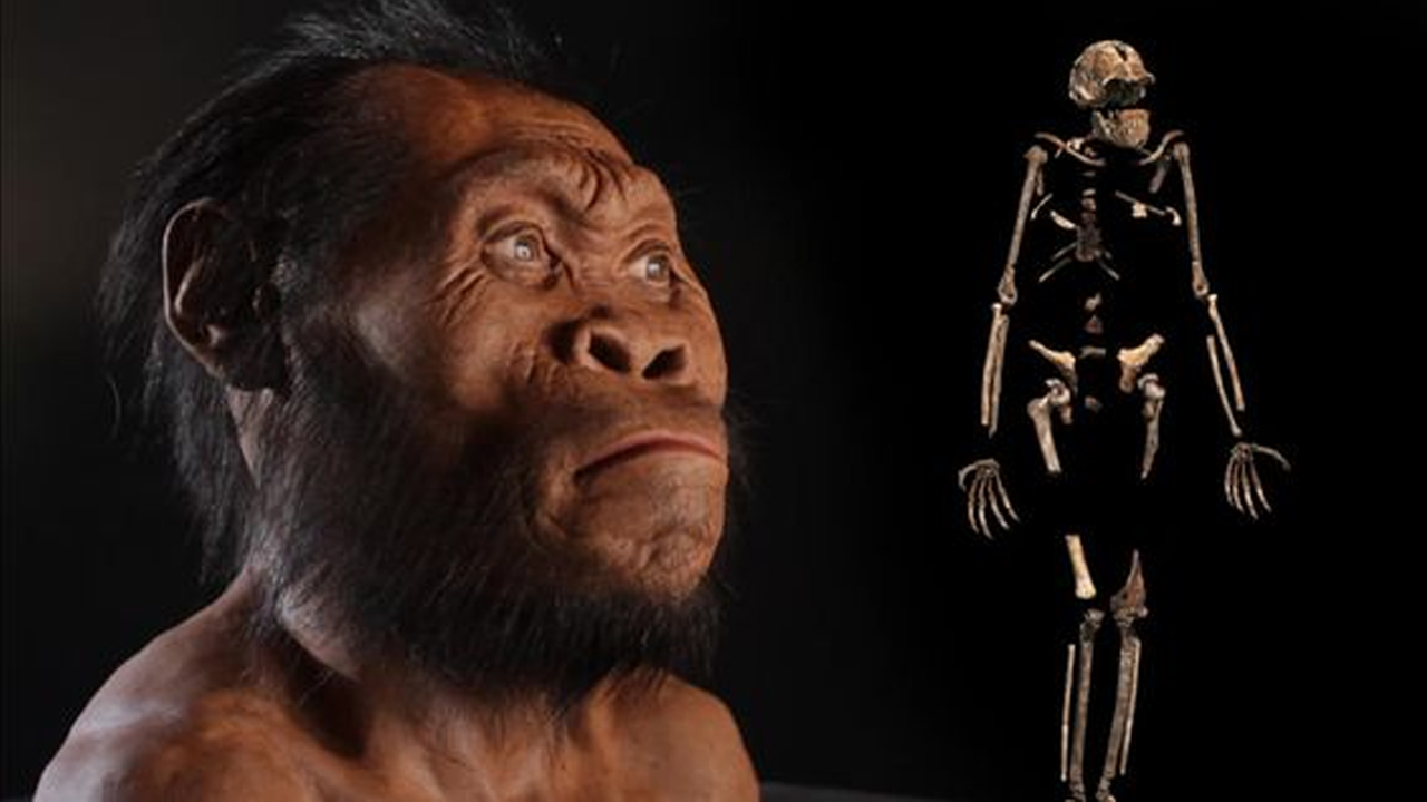 Homo Naledi