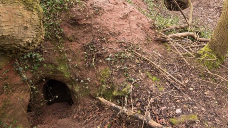 grotta polonia scoperta