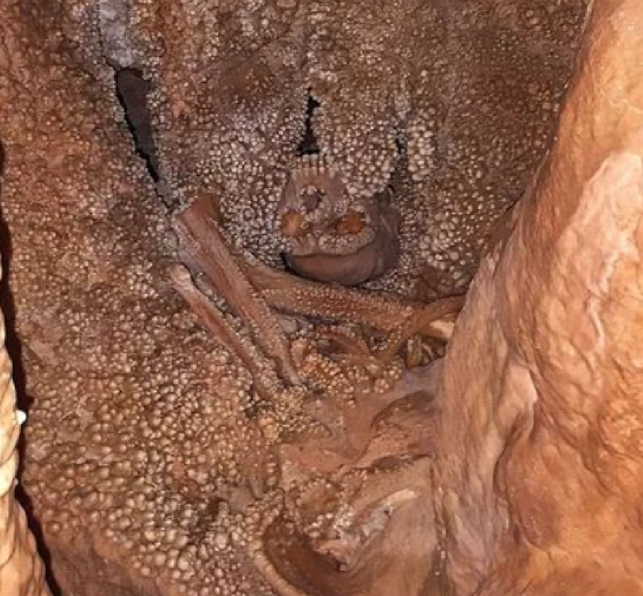 L'Uomo di Altamura grotta Puglia