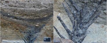 scoperta di 200 tonnellate d'argento sulle rive di un fiume