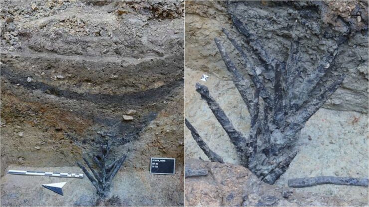 scoperta di 200 tonnellate d'argento sulle rive di un fiume