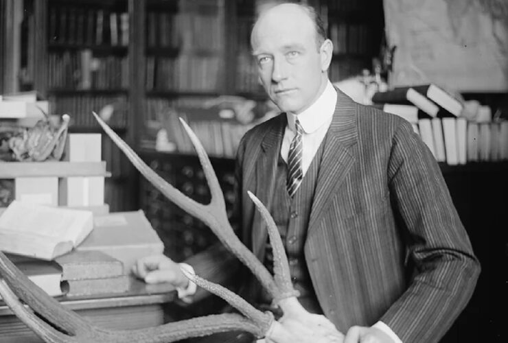 si scrive Roy Chapman Andrews si legge Indiana Jones