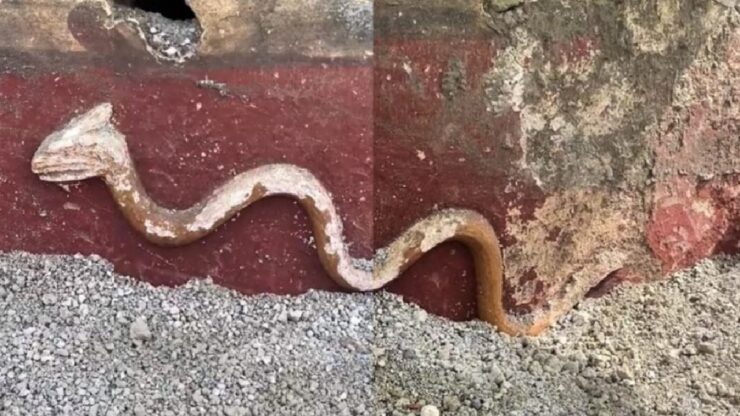 pompei immagine serpente