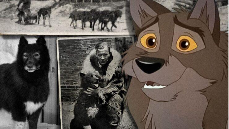 balto collage di foto