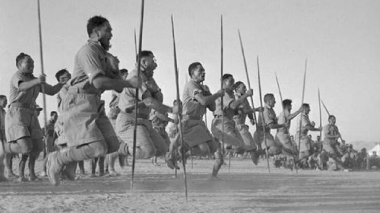 Maori foto danza