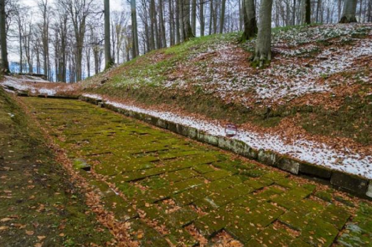 cinta fortificata di Sarmizegetusa cammino tra i boschi resti fortezza