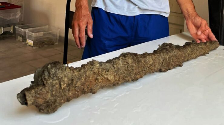 Elmi foto ritrovamenti