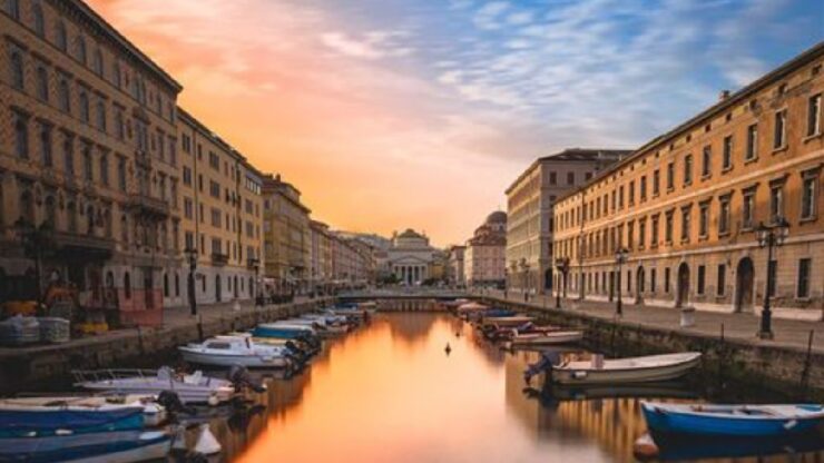 Melone immagine Trieste