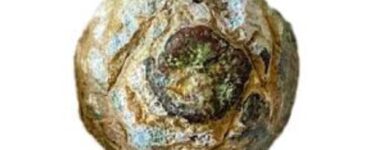 Bronzi di Riace occhio