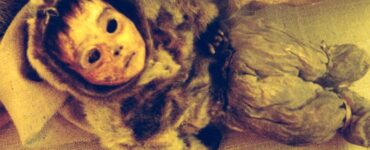 bambino di Qilakitsoq la mummia del neonato Inuit che ha sconvolto il mondo