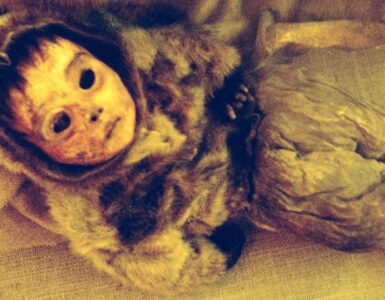bambino di Qilakitsoq la mummia del neonato Inuit che ha sconvolto il mondo