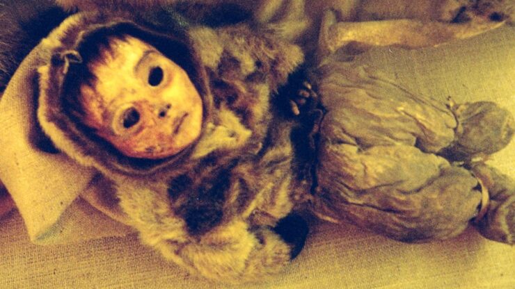 bambino di Qilakitsoq la mummia del neonato Inuit che ha sconvolto il mondo