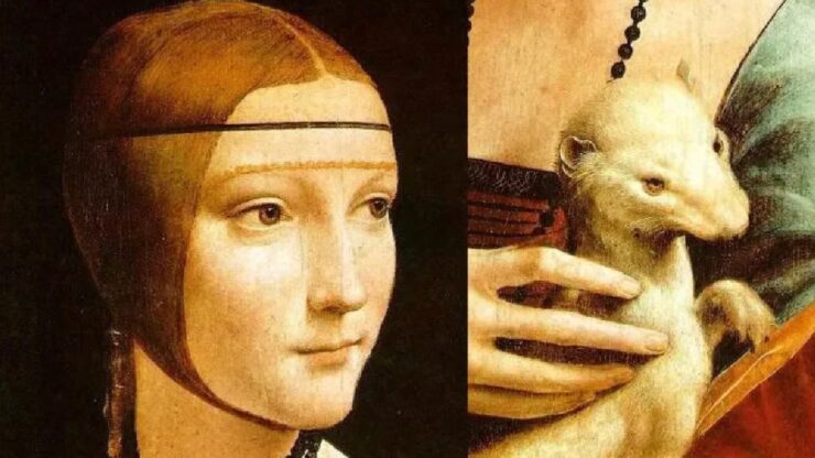 quello che non sapevi sulla dama con l'ermellino di leonardo da vinci