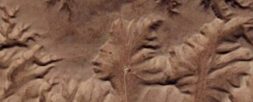una gigantesca testa scolpita nella roccia o illusione ottica tutta verità sul Guardiano delle Badlands