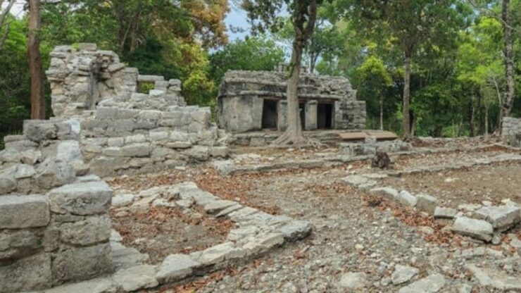 testa di guerriero tempio