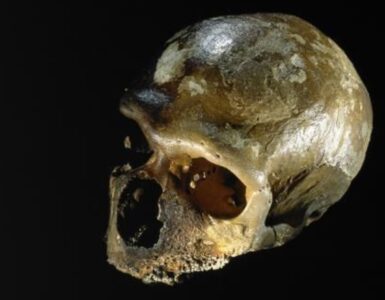 donna di Neanderthal teschio