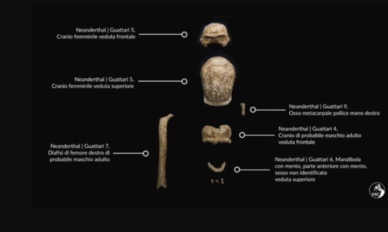 donna di Neanderthal ritrovamenti