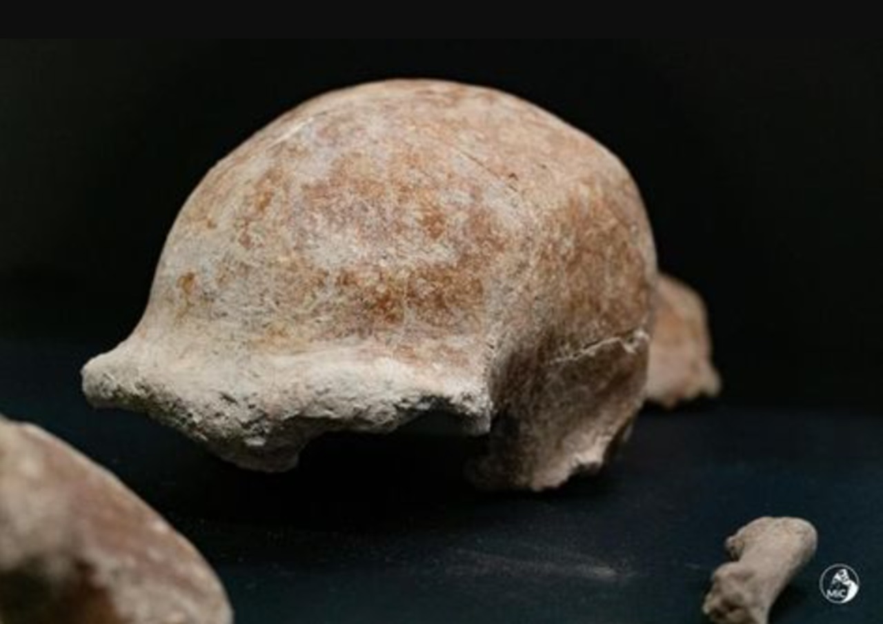 donna di Neanderthal resti