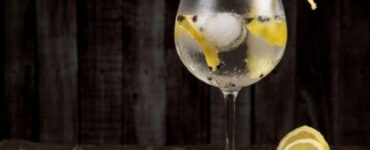Gin foto drink