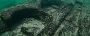 Erodoto aveva ragione sulle imponenti navi egizie ritrovamento archeologico lo dimostra