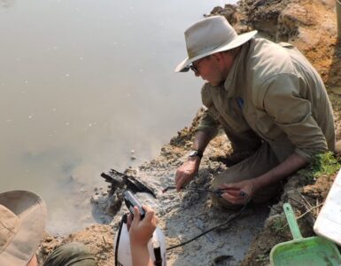 Zambia 450.000 anni fa costruivamo in legno conferma arriva scoperta archeologica