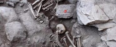 scheletri immagine scavi