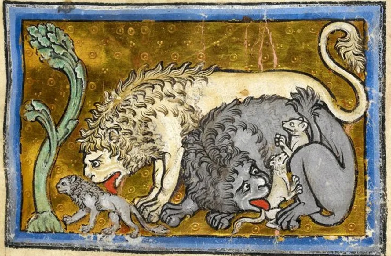 Bestiari leoni con i cuccioli significato