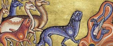 Bestiari particolari testi illustrati che ci lasciano viaggiare nella mente di un uomo del Medioevo