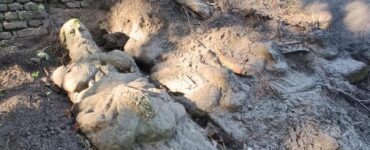 San Giuliano Milanese quattro giganti di pietra riaffiorano dal terreno