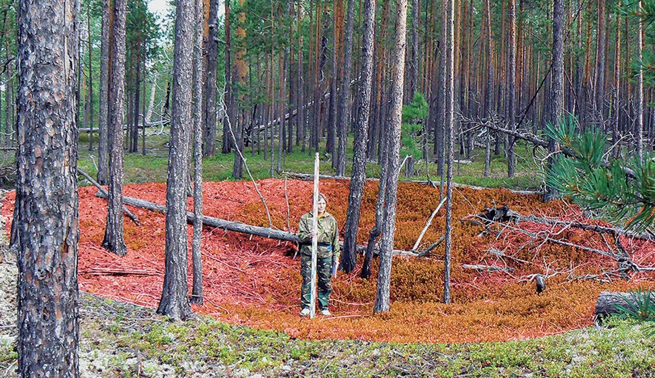 fortezza ricercatori berlinesi in Siberia