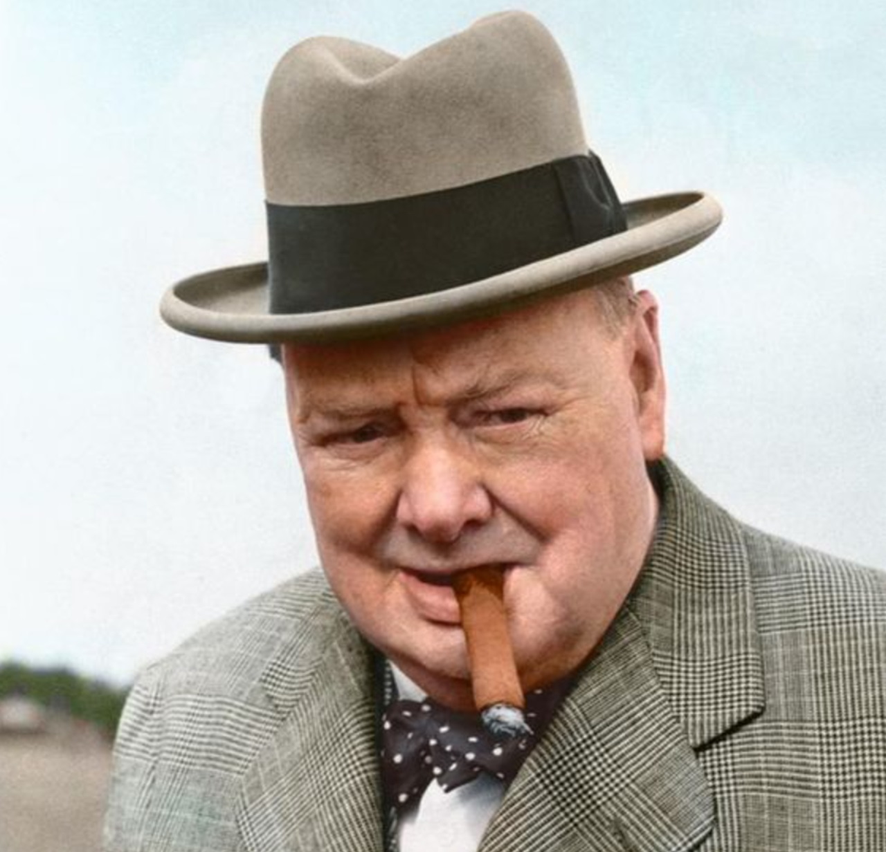 Gorgonzola immagine Churchill
