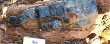 750 milioni di anni immagine ritrovamento