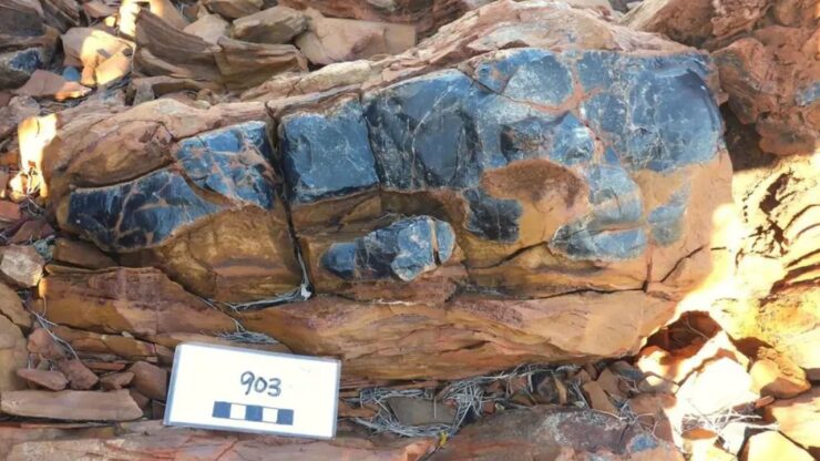 750 milioni di anni immagine ritrovamento