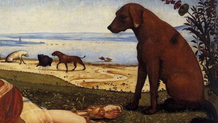 Taurone immagine padrone