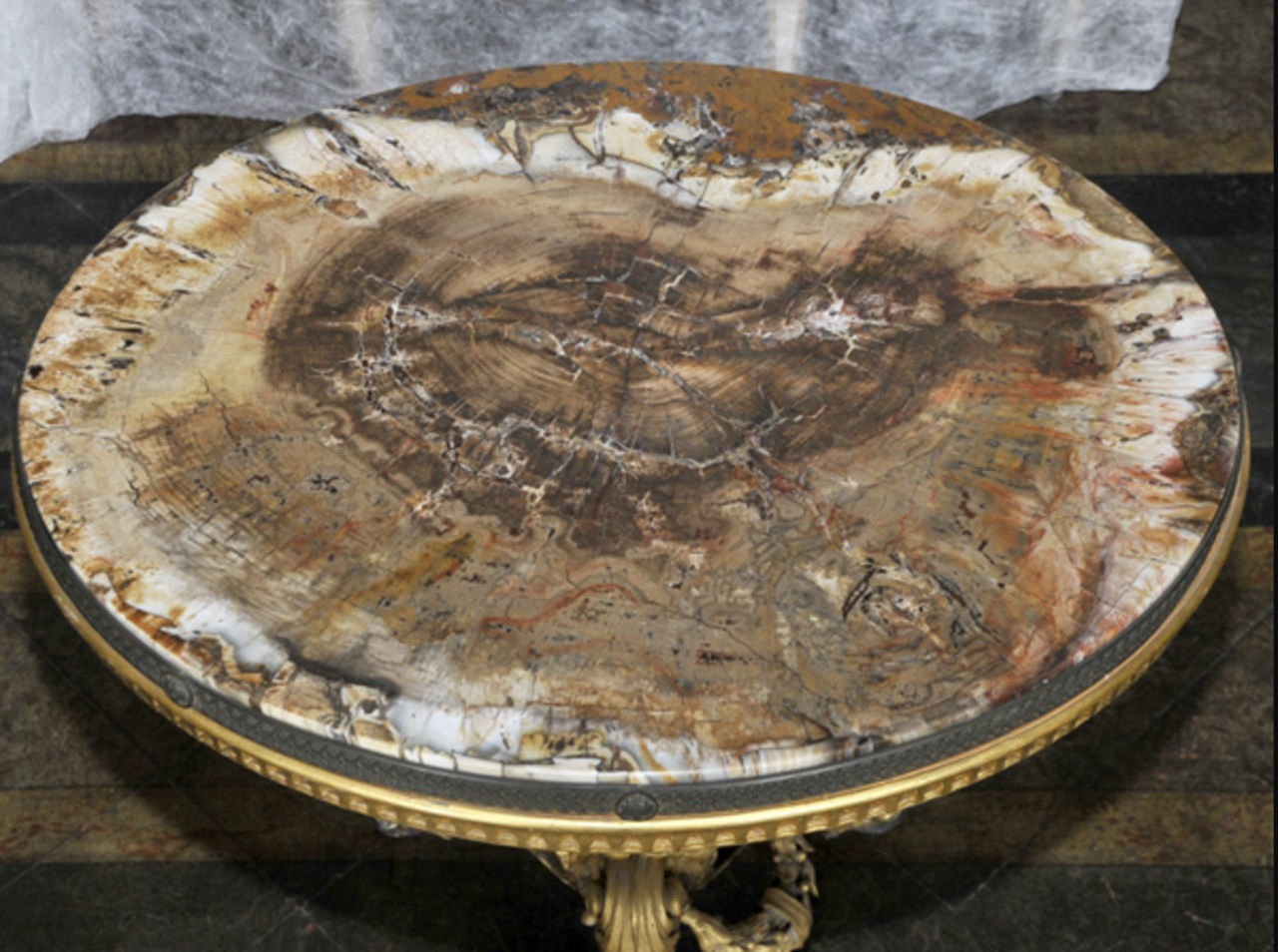 Girolamo Segato immagine tavolo mineralizzato