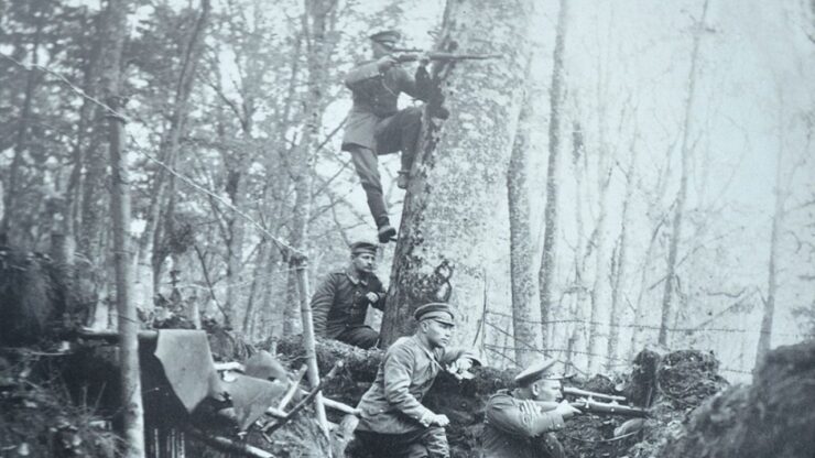 Nel mirino del Cecchino: Grande Guerra, grandi distanze 1914-1918