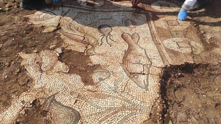sventano uno scavo illegale e scoprono i meravigliosi resti di una villa romana in Turchia