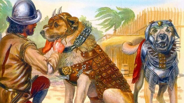 Becerrillo il terrificante cane da guerra dei Conquistadores