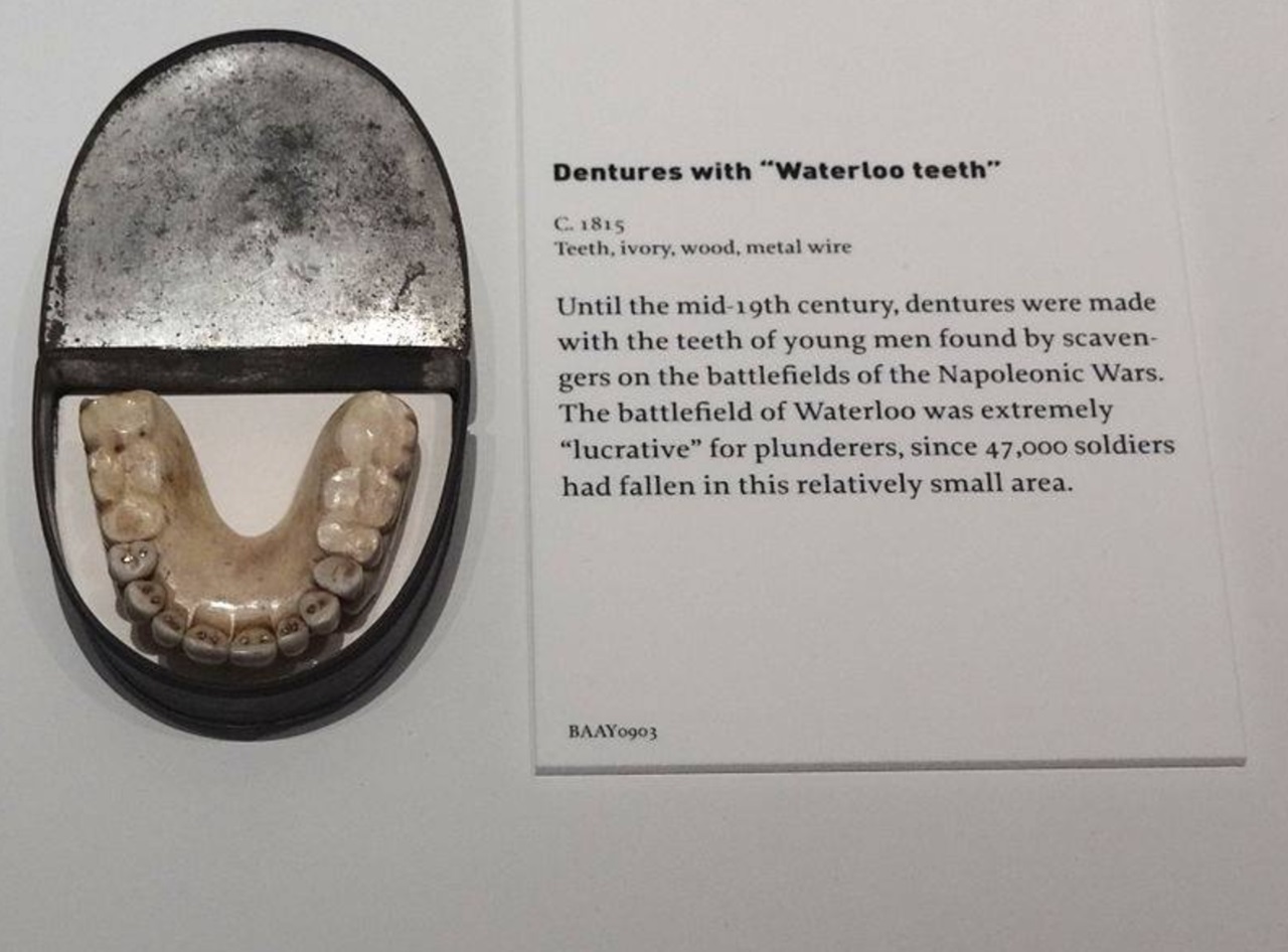 denti immagine descrizione dentiera