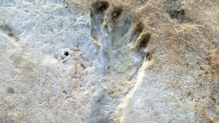 Le più antiche impronte umane al mondo? Sono state scoperte in Marocco