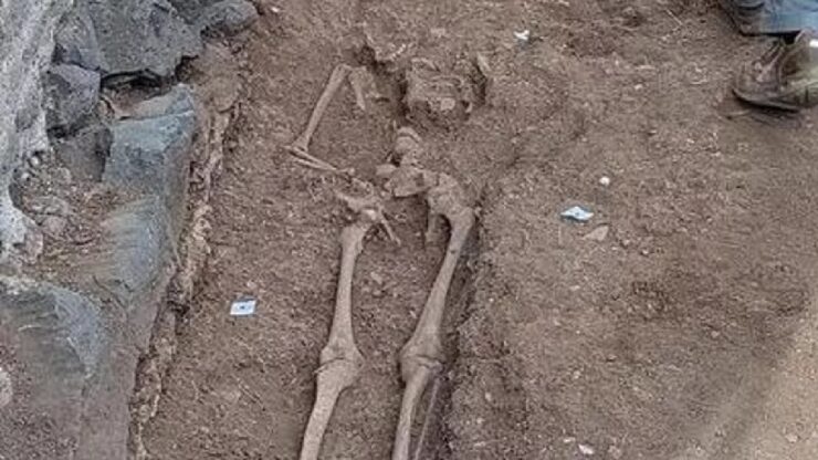 Mistero svelato: identificato l'enigmatico scheletro ritrovato nel Parco dell'Appia Antica