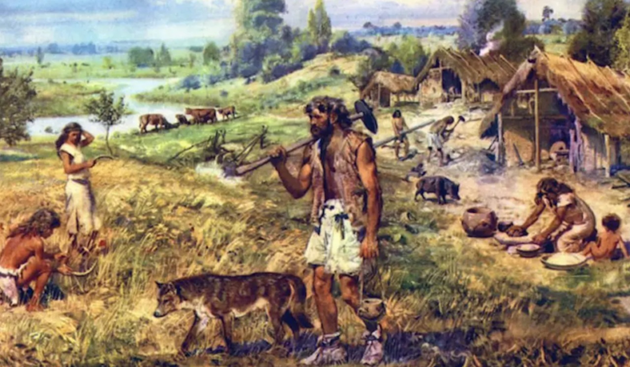 Neolitico Quiz
