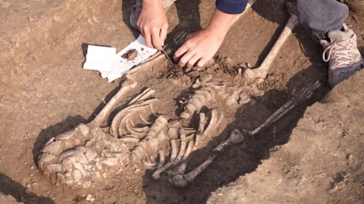 cimitero del VI secolo foto scavi