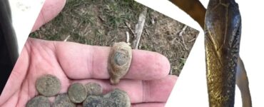 un braccialetto romano con la testa di serpente è l'ultima scoperta a Courteenhall in Inghilterra